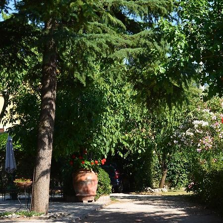 B&B Il Giovine Campello sul Clitunno Esterno foto