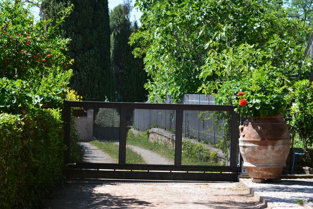 B&B Il Giovine Campello sul Clitunno Esterno foto